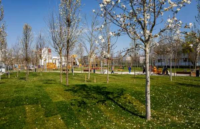 Parc Cluj FOTO Facebook