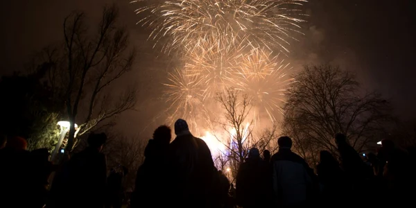 revelion 2014 bucuresti FOTO mediafax