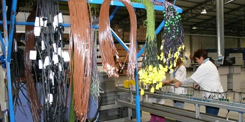 intreprindere foto IPN