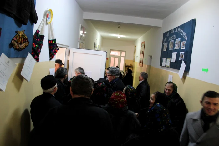 vot tara oasului