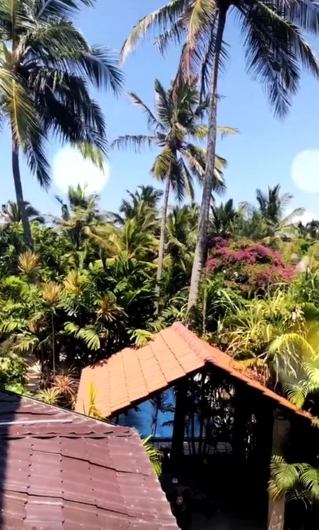 Aşa arată grădina hotelului unde concurenţii Asia Express au fost cazaţi