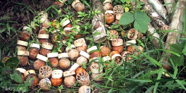 bomba jpg