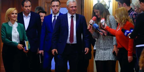 dragnea firea