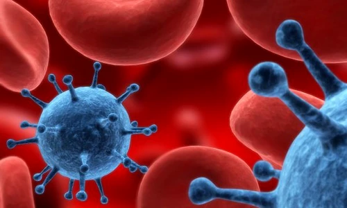 1 67250 original jpg jpeg