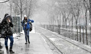 lapovita 39687000 jpg