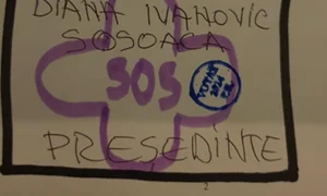 vot anulat sosoaca  jpg