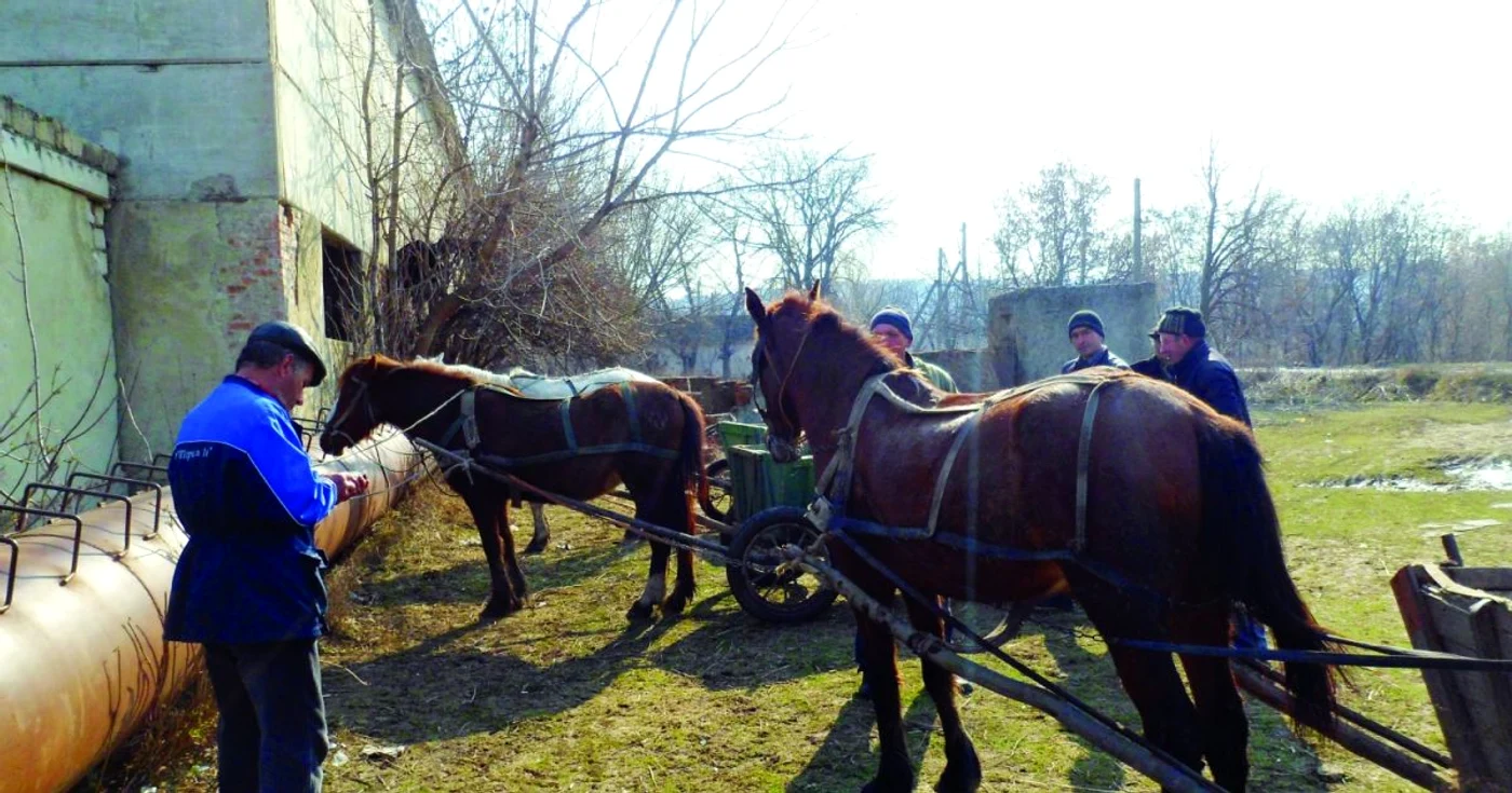 Ion Paiu (în albastru) pregăteşte injecţia pentru caii sătenilor. FOTO Adevărul