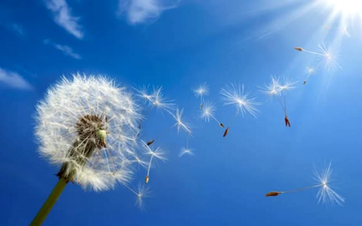 FOTO: Advanced ENT and Allergy