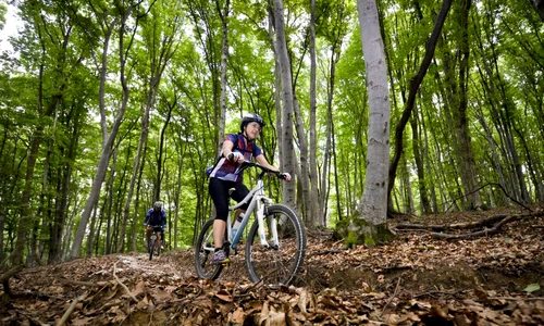 1 70256 original jpg jpeg