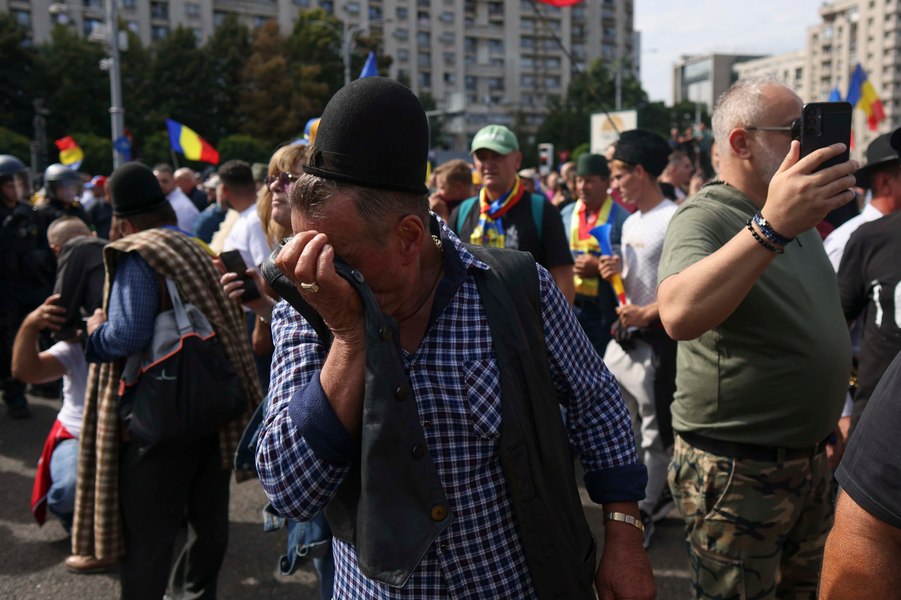 Ce revendicări au protestatarii din Piața Victoriei. Ciobanii cer oprirea uciderii oilor și redeschiderea exporturilor