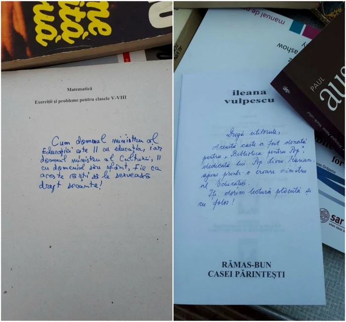Biblioteca pentru Pop FOTO Sorin Ghica