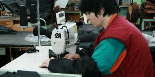 Bacău: 167 de posturi vacante pentru șomeri