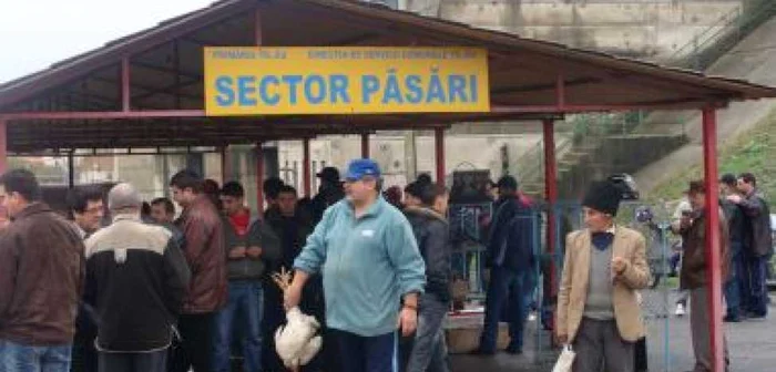 Târgu-Jiu: Negustorii de păsări sunt loviţi de criză