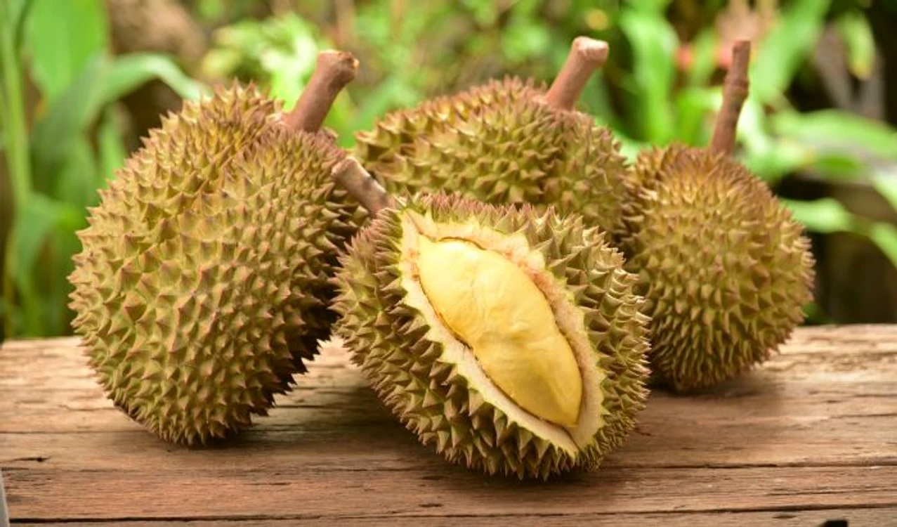 1 durian jpg jpeg