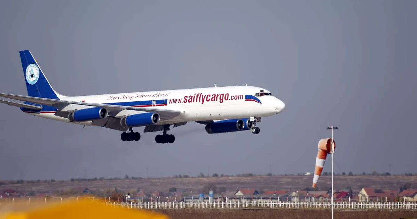 Vacile au fost aduse la Timișoara cu un avion special