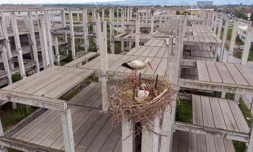 EXRtlYpXkAUSAer jfif