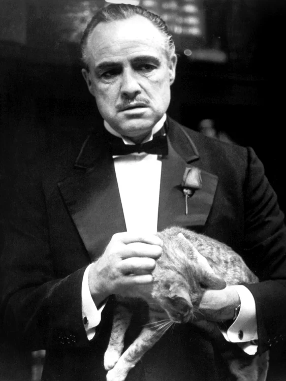 marlon brando as don vito cor jpg jpeg