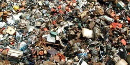 Pisica aproape că e pierdută printre aceste deşeuri