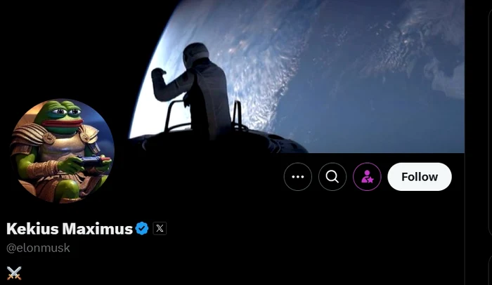 Elon Musk și-a schimbat poza de profil pe X Foto: Captură Video