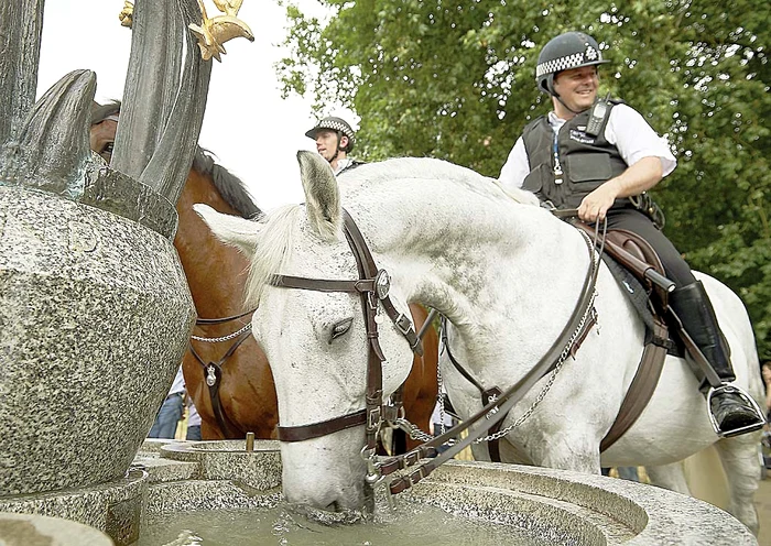 Marea Britanie – Londra 36,7 grade Celsius