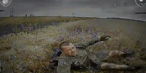 236118e546447dd3a589c19afd61be865a1c1a8f webp