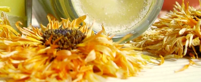 
    Unguentul de arnică este de mare folos  