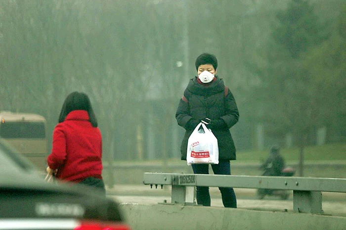 Oamenii ies la cumpărături doar 15 minute pe zi