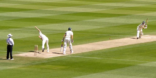 cricket jpg