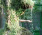 Bucureştenii s-au bucurat de vremea extrem de caldă