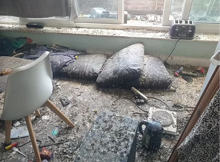 Apartamentul a fost ocupat de porumbei FOTO Daily Mail