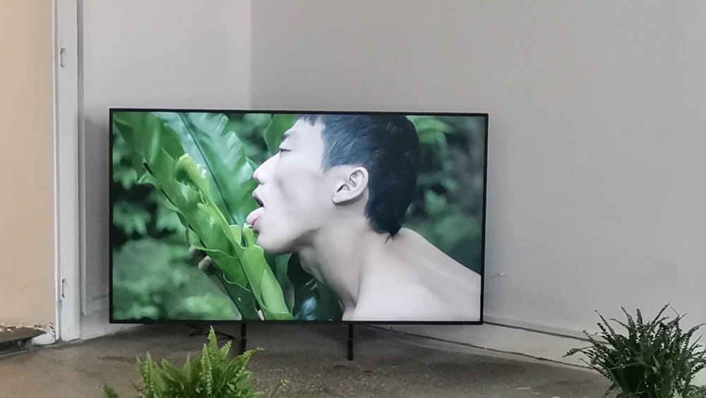 Erotism și relații intime cu plante. Instalație controversată la Garnizoana din Timișoara VIDEO FOTO