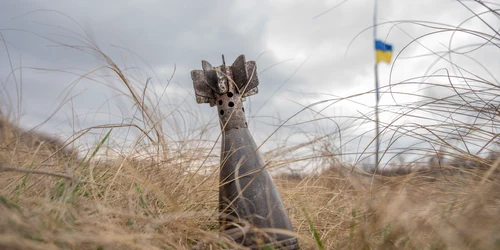 shutterstock 1957869124 (1) jpg