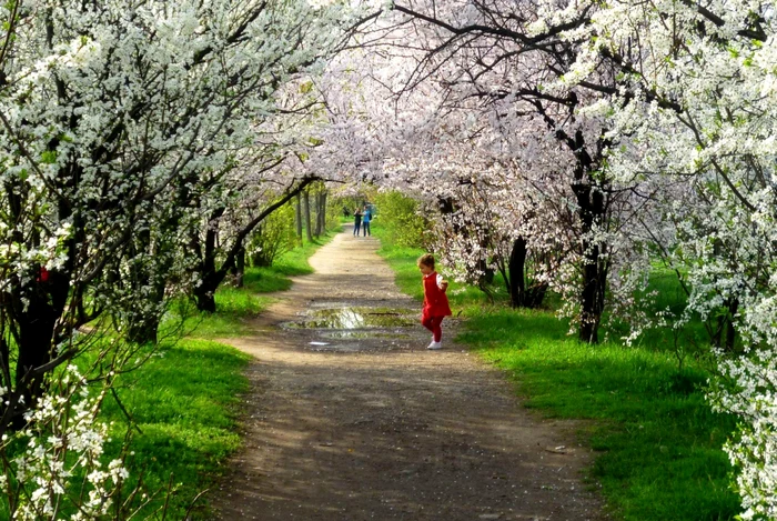 FOTO Facebook Prietenii Parcului IOR/Catană Cristian