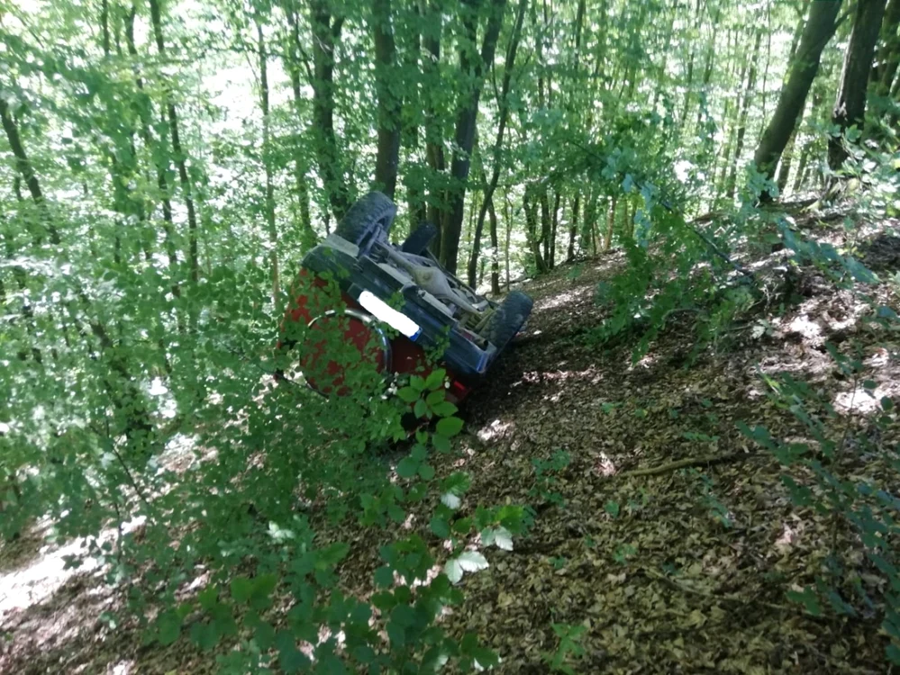 accident mortal alba 