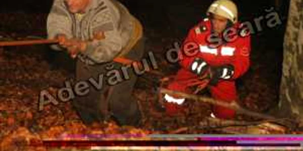 Şoferul şi ceilalti pasageri au scăpat cu răni uşoare