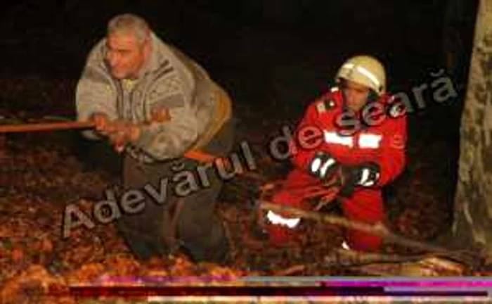 Şoferul şi ceilalti pasageri au scăpat cu răni uşoare