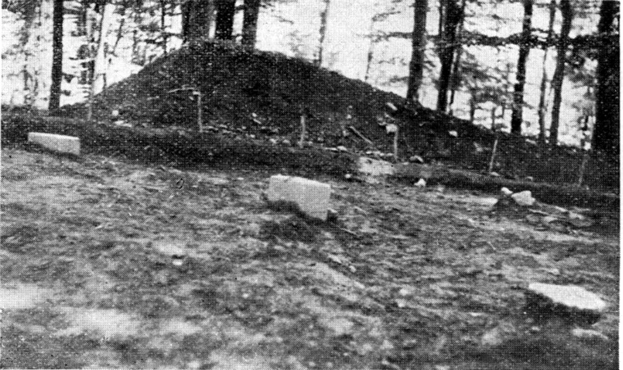 Edificiul, în vremea în care terasa a fost decopertată. Sursa: C. Daicoviciu (1957)
