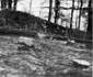 Pustiosu în raportul de cercetare întocmit de Constantin Daicoviciu în 1957 (2) jpg