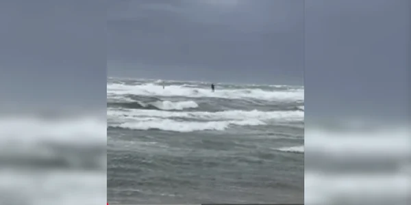 un surfer britanic s a inecat in Australia foto captura video abc news australia png