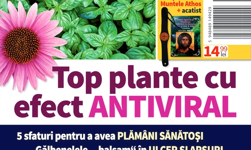 1 coperta 12 png png