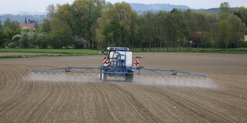 agricultura a fost multa vreme sursa de POP   foto pixabay   schauhi jpg