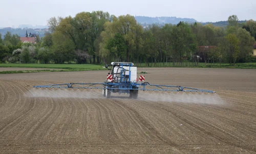 agricultura a fost multa vreme sursa de POP foto pixabay schauhi jpg