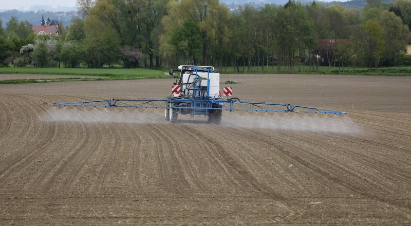 agricultura a fost multa vreme sursa de POP   foto pixabay   schauhi jpg