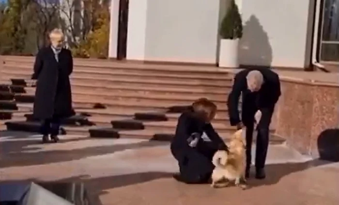 Patrupedul Maiei Sandu l-a mușcat pe liderul de la Viena. FOTO: Captură video