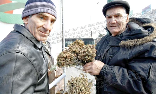 Patriarhul Daniel a ţinut  timp de patru ore  slujba de Bobotează (Fotografii: Dorin Constanda) jpeg