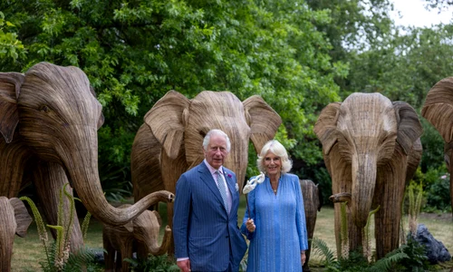 Regele Charles și Regina Camilla la Balul Animalelor, Foto Getty (2) jpg