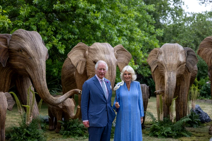 Regele Charles și Regina Camilla la Balul Animalelor, Foto Getty (2) jpg