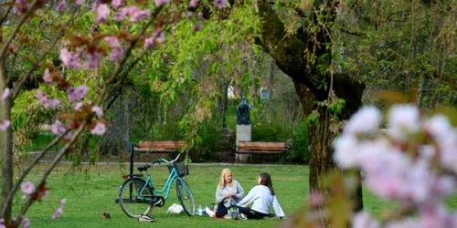 gradina botanica parc lund skane suedia foto shutterstock
