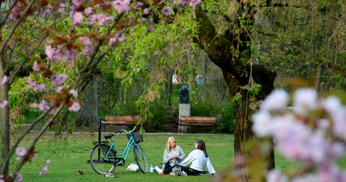 Grădina Botanică din Lund, Suedia Foto Shutterstock