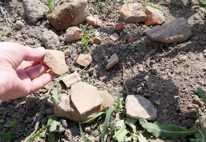 Vestigiile de mii de ani sunt distruse plugul tractoarelor Foto: Aura Stoenescu